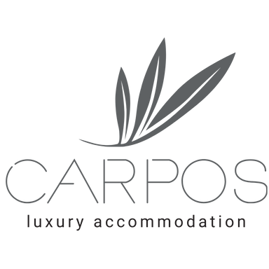 logo_header